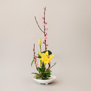Kenzan Ikebana rond de 60 mm Fakirer Blommor pour arrangements floraux - Product Image 6