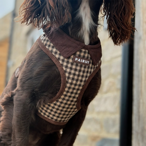 Conjunto de Correa y Arnés Acolchado de Lujo Grace Grid para Perros, Sin Tirones, con Lazo de Pana y Soporte para Bolsas de Excrementos - Product Image 2