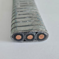 Câble de pompe submersible plat étanche 12 AWG 3x4mm² pour pompes solaires