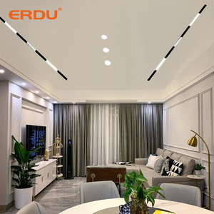 Erdu Nhôm dẫn từ theo dõi ánh sáng Spotlight cửa hàng châu Âu thương mại nam châm theo dõi đèn - Product Image 6