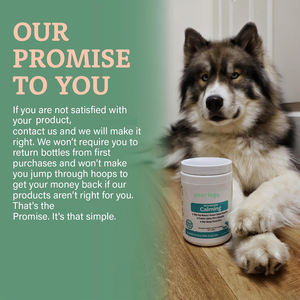 Tabletas masticables suaves calmantes para la salud de las mascotas con ingredientes naturales que ayudan a los perros a aliviar la ansiedad por separación frente a los cambios ambientales - Product Image 4