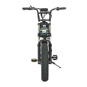 Bicicleta eléctrica de carga para adultos - Nuevo estándar nacional - Motor central - 3 velocidades - Cuadro de acero sin escobillas - Product Image 2