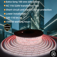 Bande lumineuse LED 220V 110V 8mm 10mm PCB flexible en silicone étanche IP67 haute tension pour projets hôteliers, centres commerciaux et extérieurs