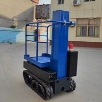 Plataforma Elevadora Eléctrica Hidráulica para Camiones, Pequeña Plataforma Elevadora Aérea, Plataforma de Trabajo Elevadora para Interiores, Máquina Elevadora
