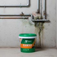 Revêtement de réparation de surface pour zones d'eau stagnante – Peinture d'étanchéité écologique spéciale ciment pour l'étanchéité des pénétrations de tuyaux dans les sous-sols – Haute performance