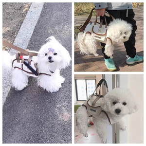 Bunnyhi BB003 Pet nefes taşınabilir Crossbody One-omuz sırt çantası taşıyıcı köpek koşum Pet köpek taşıyıcı - Product Image 2