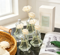 Bouteille vide personnalisable pour huiles essentielles, diffuseur en verre, bouteille vide transparente avec bouchon pour diffuseur de parfum d'ambiance à bâtonnets