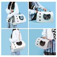 Sac de transport pliable pour chat et chien, mignon, respirant, en maille Oxford, portable, pour les voyages