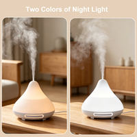 Humidificateur d'air domestique, diffuseur d'huiles essentielles USB Type-C, mini diffuseur d'arômes ultrasonique avec lumière chaude