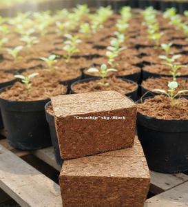 เพิ่มผลผลิตที่ดีขึ้นด้วยวัสดุปลูกจากใยมะพร้าว/โคโคชิปบล็อกที่มีการระบายน้ำและการระบายอากาศได้ดีเยี่ยม - Product Image 2