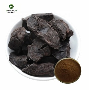 Extracto de Raíz de Polygonum Multiflorum Fo Ti THSG 5% Polvo de Estilbeno Natural Grado Alimenticio Greenutra para Suplemento Dietético - Product Image 2