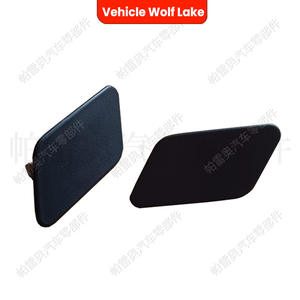 ฝาครอบหัวฉีดพ่นไฟหน้ารถ Wolf Lake สำหรับ X3 F25 2010-2014คลิปบนตัวครอบ ABS ด้านซ้ายขวา - Product Image 1