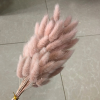 Bunga Asli Eropa Bunny Tail Flower Bouquet Kering Alami untuk Pesta, Harga dan Kualitas Menarik, 50-60 cm, 10 Tangkai