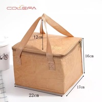 Sac isotherme pliable Colefa avec fermeture éclair, sac en papier DuPont, film aluminium, sac à déjeuner isotherme pour pique-nique en plein air, sac à déjeuner en papier kraft, sac à déjeuner bento