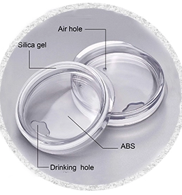 Vaso Térmico de Acero Inoxidable con Aislamiento de Doble Pared, Ecológico, con Tapa, en Forma de Botella de Vino, Venta al por Mayor de Fábrica - Product Image 2