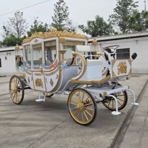Charrette Électrique Royale de Luxe Haut de Gamme 4-6 Places 4 Roues Couleur Personnalisable Sans Chevaux à Vendre - Product Image 3