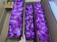 EG-0009 Nouvelle orchidée Vanda artificielle personnalisée à toucher réel, faite à la main pour la décoration de mariage