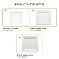 Assiettes carrées en bagasse de canne à sucre biodégradables et compostables, résistantes à la graisse et compatibles micro-ondes pour les fêtes