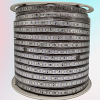 Guirlandes lumineuses LED RGB JIUAN 5050, étanches IP65, longueurs 1m/5m, 220V, en PVC, avec contrôle intelligent dimmable par USB et télécommande