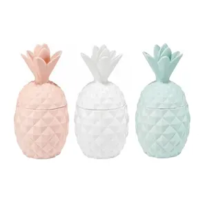 Benutzerdefinierte geformte küche salz honig jar Porcelain Canister Bulk Pineapple Jar Ceramic Spice Jar set