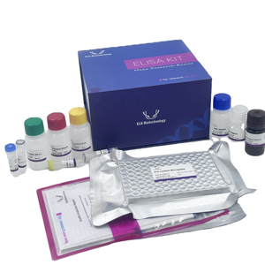 Peroxidase China Trade,Buy China Direct From Peroxidase Factories at Alibaba.com Peroxidase China Trade,Buy China Direct From Peroxidase Factories at Alibaba.com