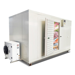 Chambre froide intelligente à accès direct pour ferme et hôpital avec contrôle intelligent - Product Image 5