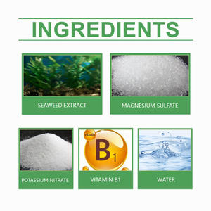 Solución MoonSpry Maceta Hierba verde Césped Universal Crecimiento <span class=keywords><strong>de</strong></span> raíces del cabello Nutrición vegetal - Product Image 5