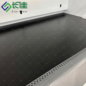 Campana de Extracción de Gases de Seguridad de Acero Moderna y Profesional, Mueble de Laboratorio para Investigación, para Hospitales, Escuelas, Clínicas y Laboratorios - Product Image 6