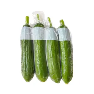 Déchirure encoche Riz Viande Légumes Fruits stockage emballage en plastique transparent alimentaire sac sous vide