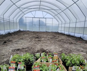 Serre agricole Polytunnel extérieure 6x10m Serre de <span class=keywords><strong>jardin</strong></span> <span class=keywords><strong>pour</strong></span> la plantation de légumes, de fruits et de fleurs - Product Image 4