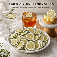Tranches de citron vert séchées 100% naturelles, sans additifs, sans conservateurs, garniture pour cocktails, en vrac