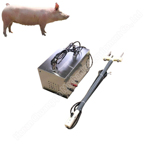 Storditore elettrico per suini da macellazione - Product Image 2
