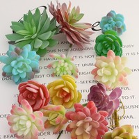 Ensembles spéciaux de plantes succulentes artificielles et de fleurs pour la décoration intérieure de la maison et du bureau