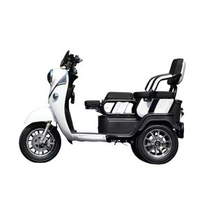 Vente directe d'usine, vélos électriques 48V personnalisables, tricycles en acier à 3 roues, nouveaux véhicules élégants pour familles, passagers, 40-60 km/h - Product Image 4