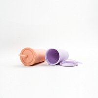 Gobelet de voyage personnalisé en plastique dépoli mat à double paroi de 17 oz et 20 oz avec couvercle et paille, sans BPA