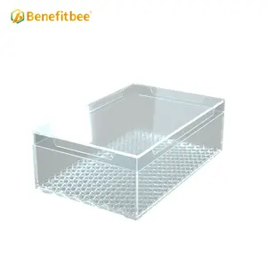 벌꿀 집 상자 허니 카세트 벌집 박스 - Product Image 6