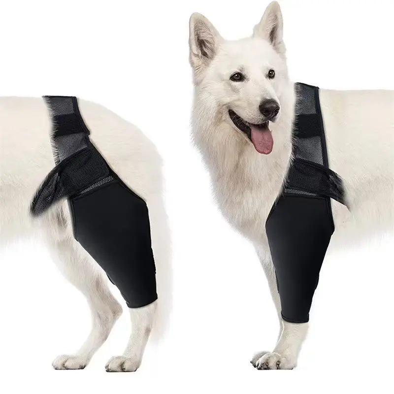 Venda quente Recuperação protetor de espuma perna do cão manga Joelho Brace Neoprene Dog Leg Brace para as pernas traseiras