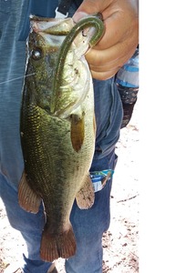 ZHUORUN 10pcs/bag 135mm 9.5g Stick Bait Worm Senko Baits Plastic Worms Fishing Lure Soft Plastic Senko Style Worms Lures