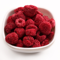 Guoyue-liofilizador de Raspberry, liofilizador en polvo completo, piezas de Raspberry