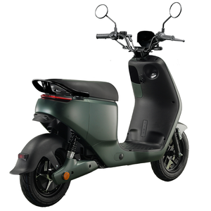 Trottinette électrique à deux roues en alliage d'aluminium avec batterie amovible sans balais EEC 48V 20AH 1000W, LED, étanche - Prix abordable, haute qualité - Product Image 6