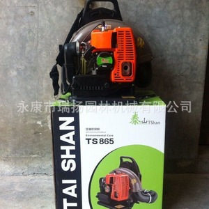 เครื่องเป่าลมสะพายหลัง EB-650 รุ่นใช้น้ำมันเบนซิน ความเร็วลมสูงสุด 210 ไมล์ต่อชั่วโมง ระดับมืออาชีพ ผลิตจากอลูมิเนียมอัลลอย สำหรับทำความสะอาดใบไม้ หิมะ และฝุ่น - Product Image 2