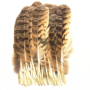 China Professional Manufacturer 10-12inch/25-30cm Natural <strong>Eagle</strong> <strong>Feathers</strong> - Product Image 2