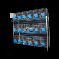 Meilleures ventes Nouvelle cage d'élevage de lapins de type H à 3 niveaux avec une longue durée de vie 2x0.5x1.75m Sol en plastique pour utilisation à la ferme