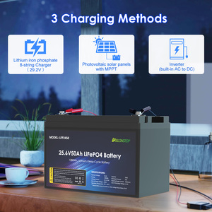Delong <b>24V</b> Lead-acid Replace <b>Batteries</b> LFP 25.6V 50Ah <b>Battery</b> for Refrigerator LFP2450 <b>24v</b> <b>Battery</b> - Product Image 1