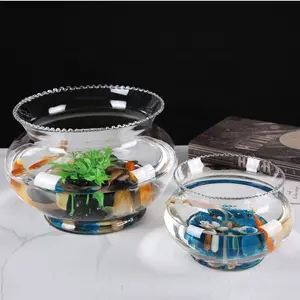 DL3587 저렴한 가격 책상 수족관 유리 작은 물고기 탱크 투명 유리 물고기 그릇