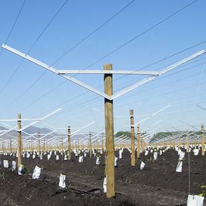 易于安装 Y 形开放式网格系统，适用于秘鲁 - Product Image 2