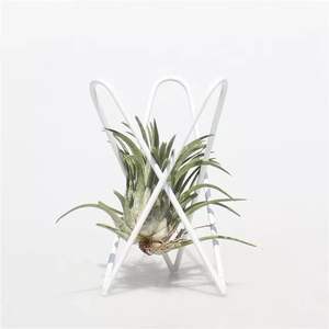 Support de table à air géométrique en <span class=keywords><strong>fer</strong></span> <span class=keywords><strong>forgé</strong></span>, pour conserver de l'air, des plantes, ananas, accessoire de bricolage bon marché - Product Image 3