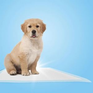 2026 Alèses d'apprentissage de la propreté pour chiots, jetables, en coton, personnalisées, avec indicateur de frottement, super absorbantes, technologie SAP japonaise, écologiques, 56*56 - Product Image 5