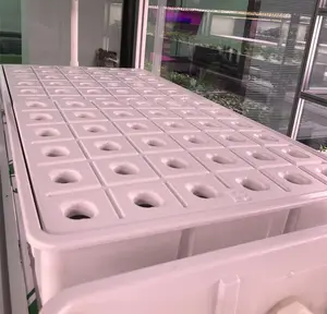High Quality White Vacuum Forming Plastic Plant Plug Hydroponic Nursery Flat Seeding Grow Tray Sprouting Tray For Agriculture