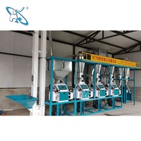 Machines de mouture de blé 10TPD, prix usine pour équipements de moulin à farine de blé industriel